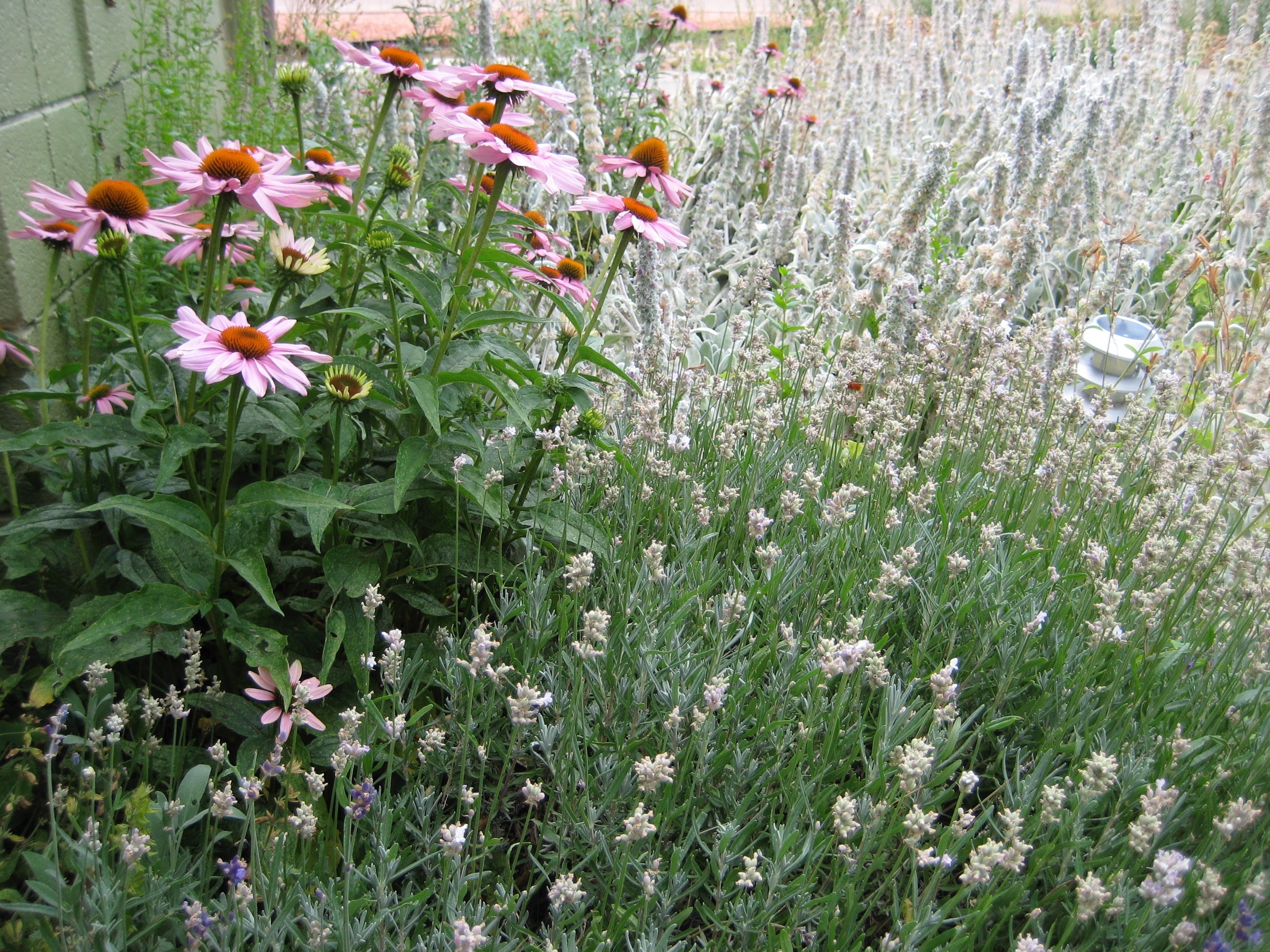 Buried Treasure; Digging in the garden, in the past