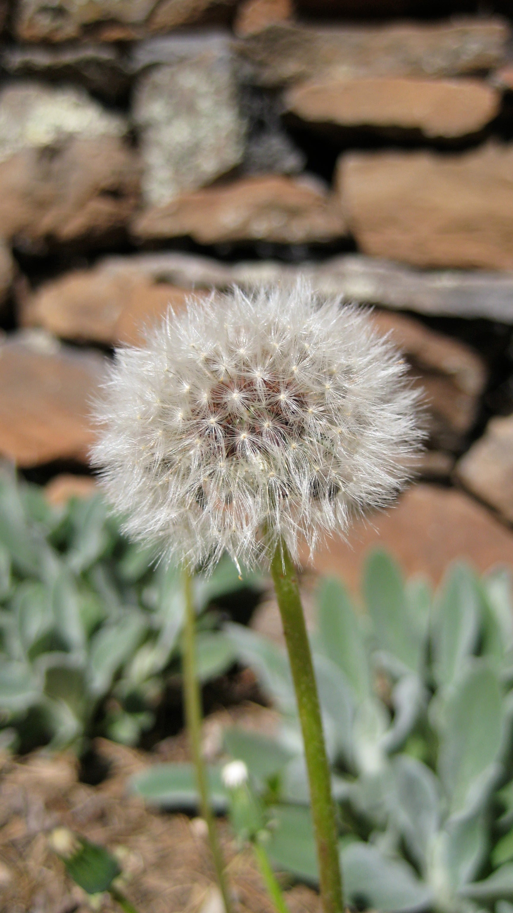 Finding Contentment: When less is more