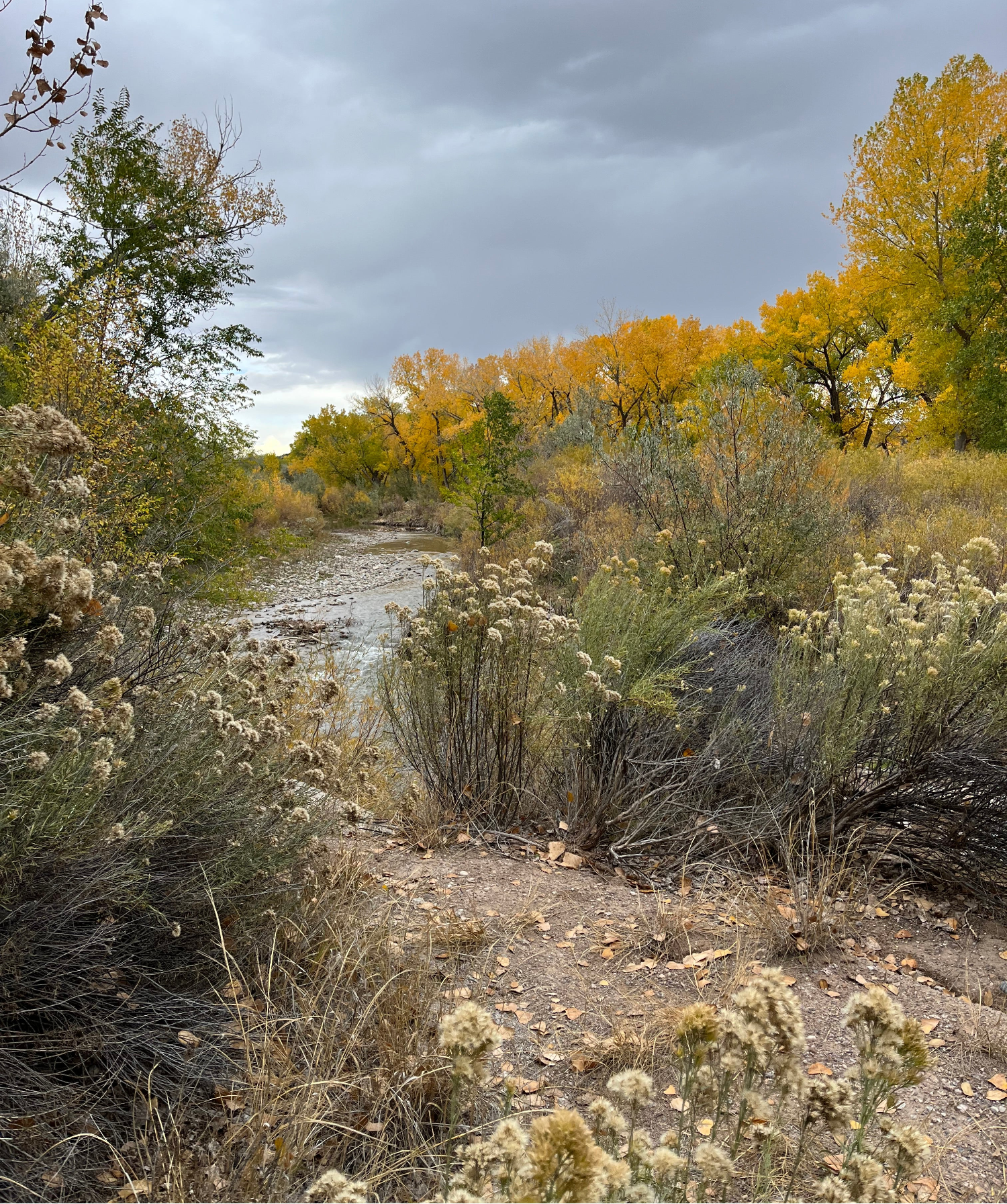 Road tripping, book recommendations, and a history lesson